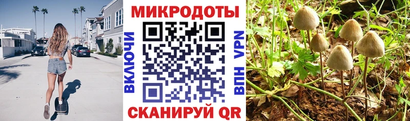 Купить где  Буинск  Галлюциногенные грибы MAGIC MUSHROOMS 